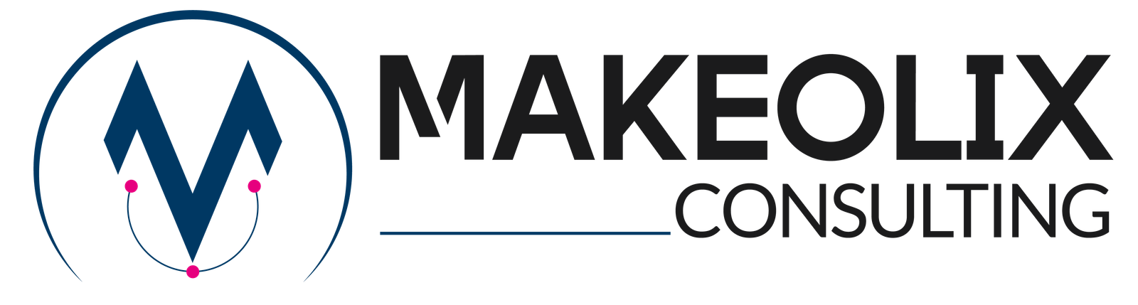 MakeOlix consulting