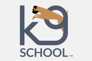 Untitled design (81)